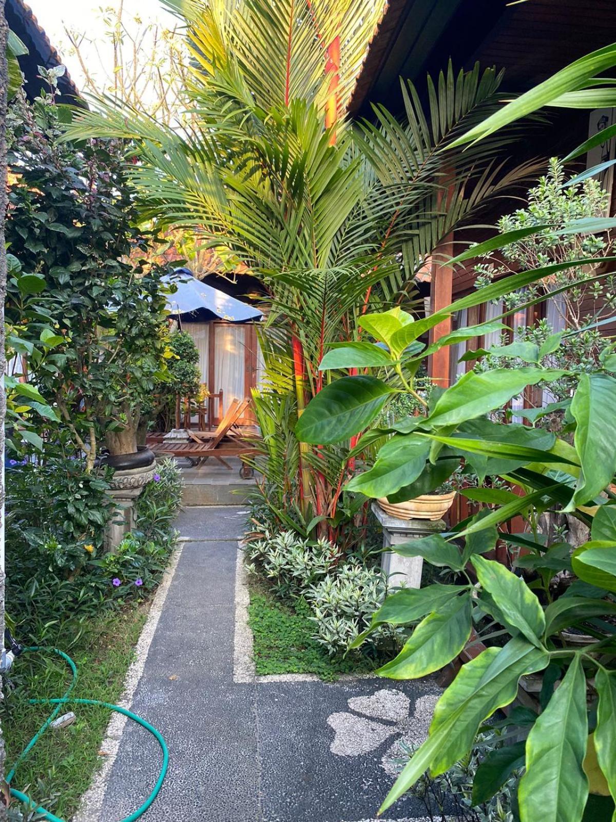 Toyapakeh 等待花园小屋酒店 外观 照片